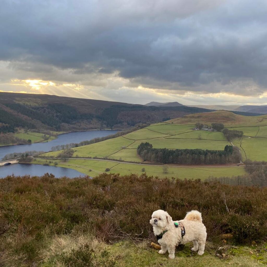 At Ladybower Tor with Coco one of my favourite Peak District walks